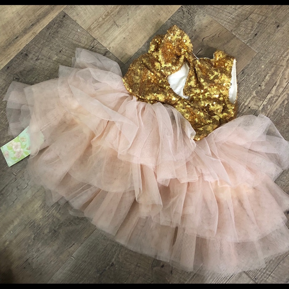 Little girls/baby sequin tulle dress